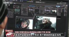 人眼和大脑视觉处置体例 